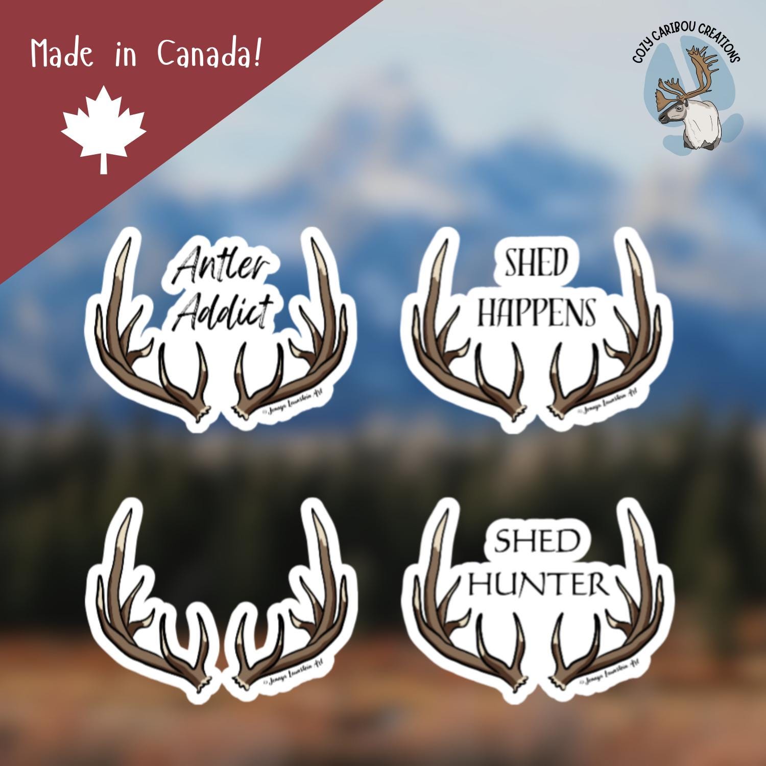 Shed Antler Decal - Etsy