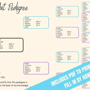 Customizable Rabbit Pedigree, Rabbitry Supplies, Digital Only - Etsy