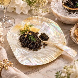 May include: A shimmering, iridescent mother-of-pearl shell dish holding a mound of dark black caviar, garnished with fresh green dill and two lemon slices, accompanied by a matching mother-of-pearl serving spoon resting on the dish surface.
