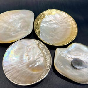 Juego de plato y cuchara de caviar de nácar: plato de postre de concha marina hecho a mano, expositor de joyas