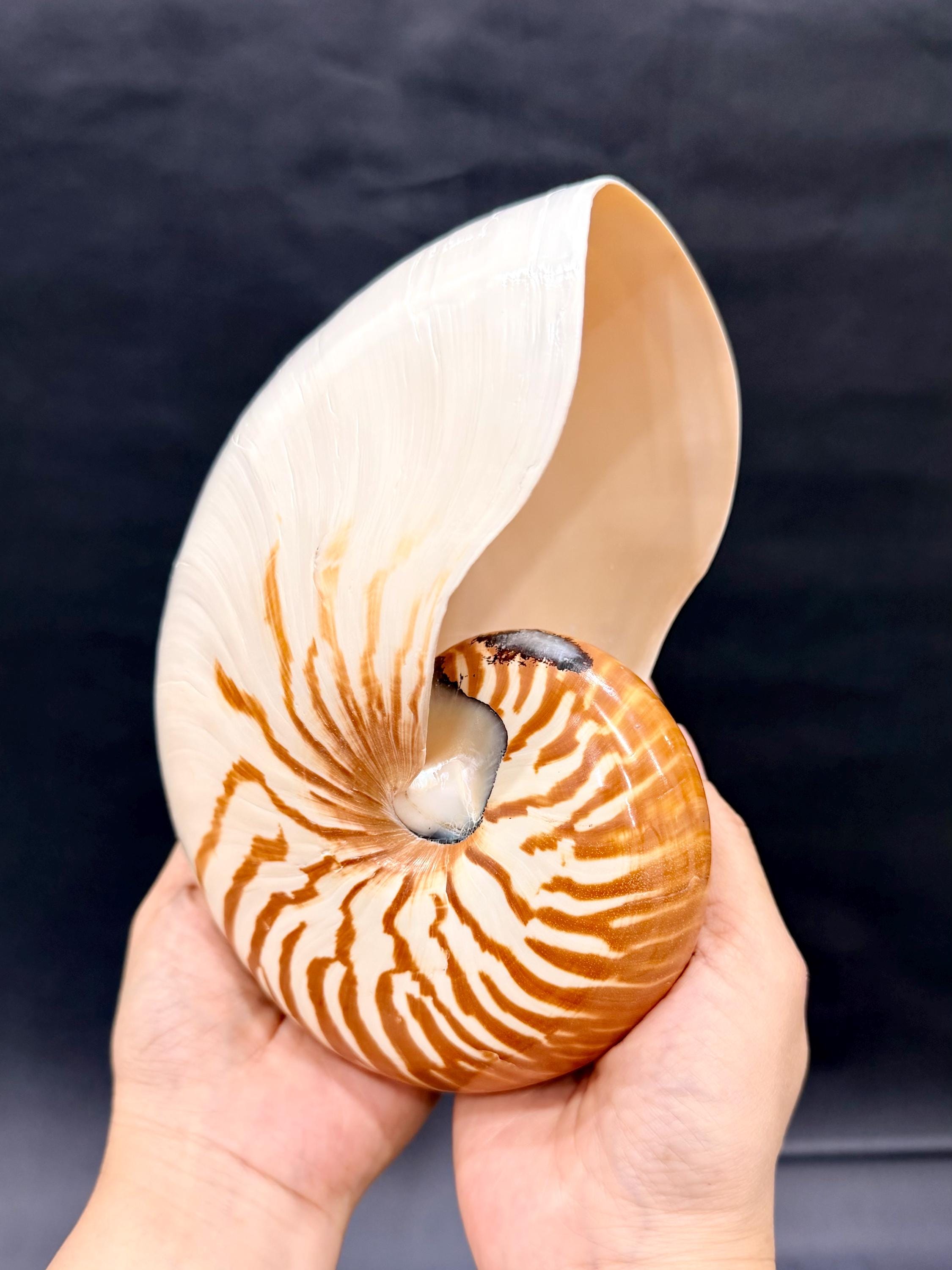 6-7.5