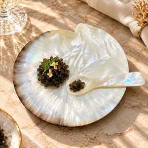 Mother of Pearl Caviar Plate & Spoon Set: Handmade Seashell Dessert Dish, Jewelry Display
