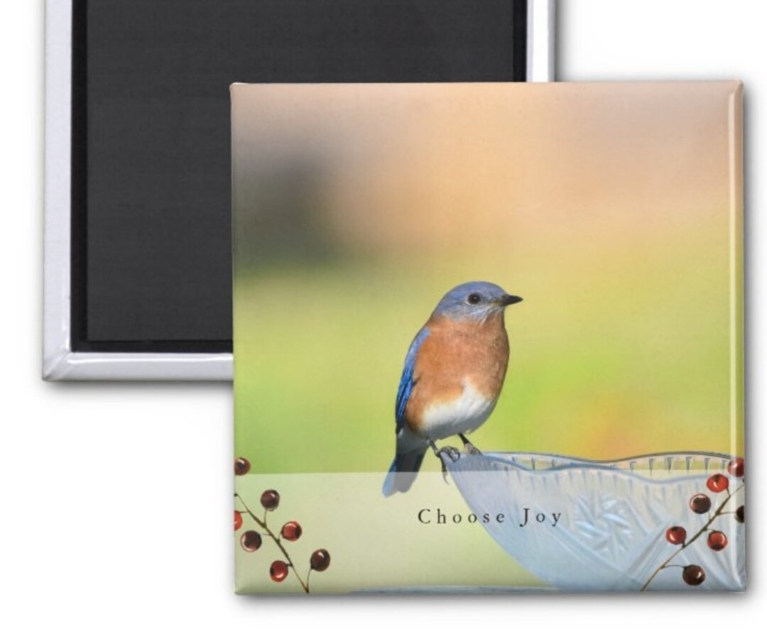 Bluebird Bird Photo, Refrigerator Keepsakes, Nature