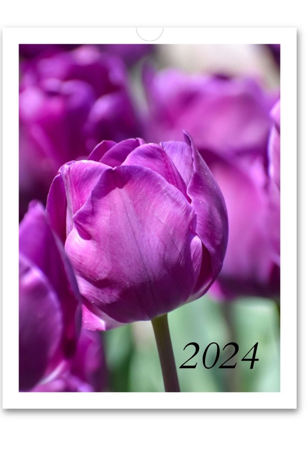 2025 Floral Wall Calendar Flowers Gifts New Year Etsy