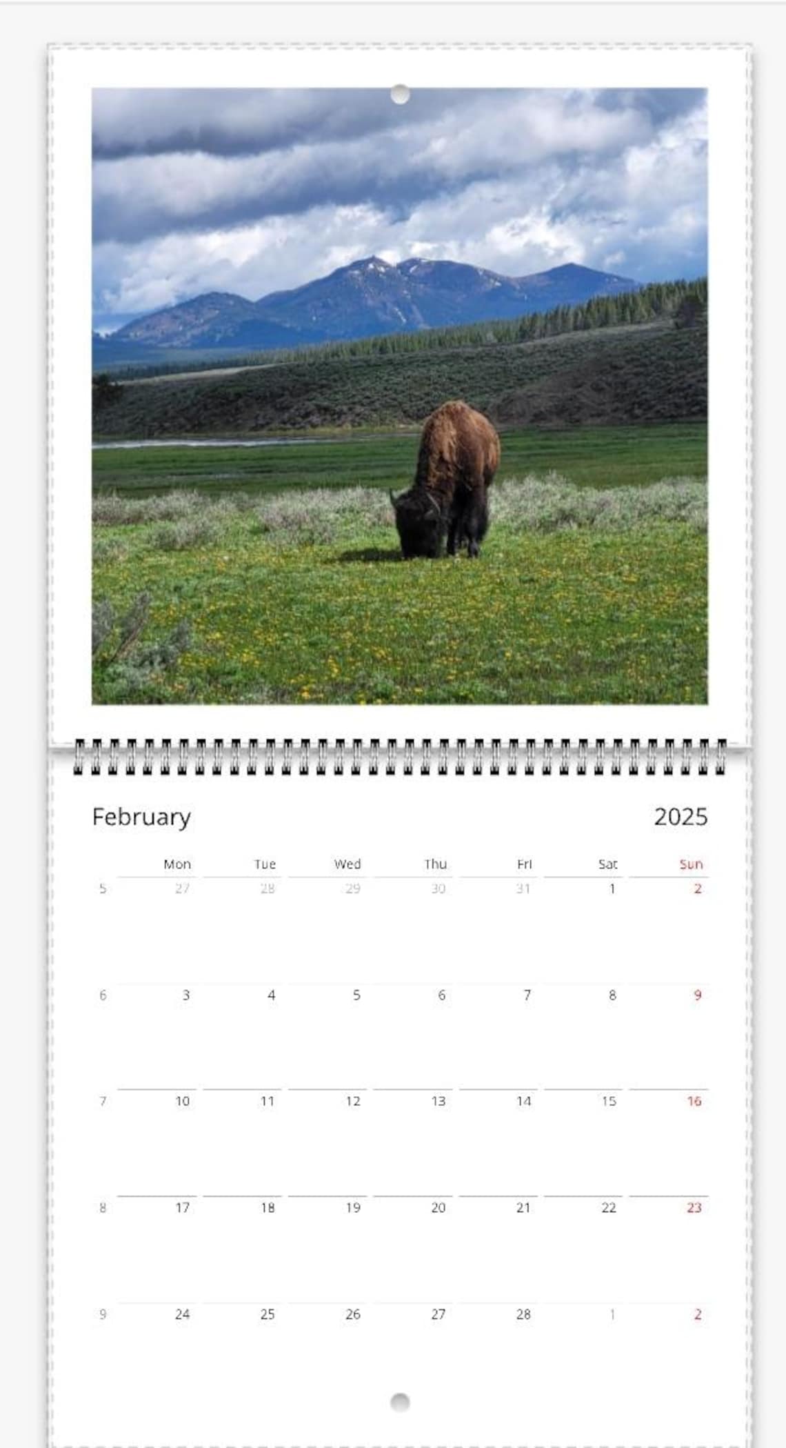 2025 12 Month Wall Calendar, Yellowstone National Park, Grand Teton