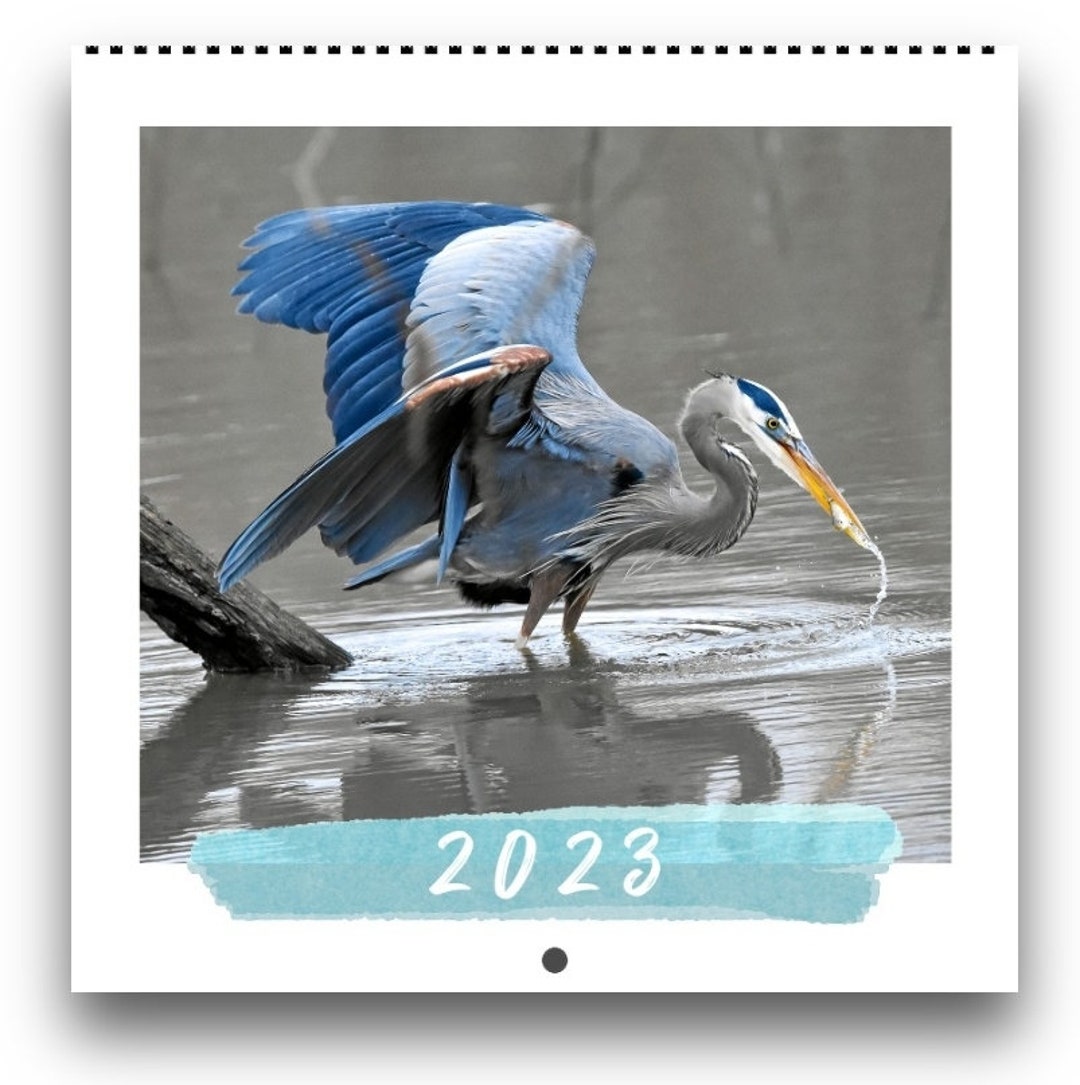 2023 Great Blue Heron Calendar Bird Lovers Men's Gifts Etsy