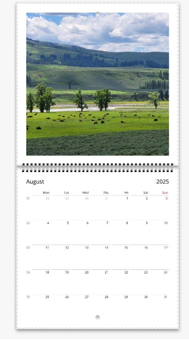 2025 12 Month Wall Calendar, Yellowstone National Park, Grand Teton
