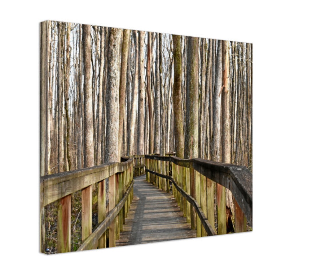 Nature Wall Print, Rustic Home Decor Landscape Photography, Sardis Lake