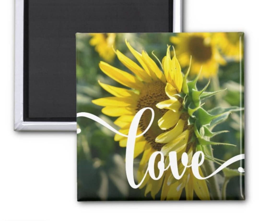 Sunflower Sunflower Photo, Refrigerator Keepsakes