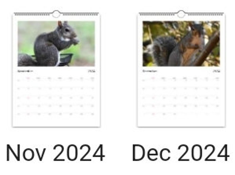 2024 Squirrel Calendar, New Year, Wildlife, Christmas Gifts, Nature