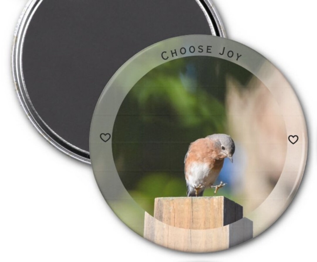 Bluebird Bird Photo, Refrigerator Keepsakes, Nature