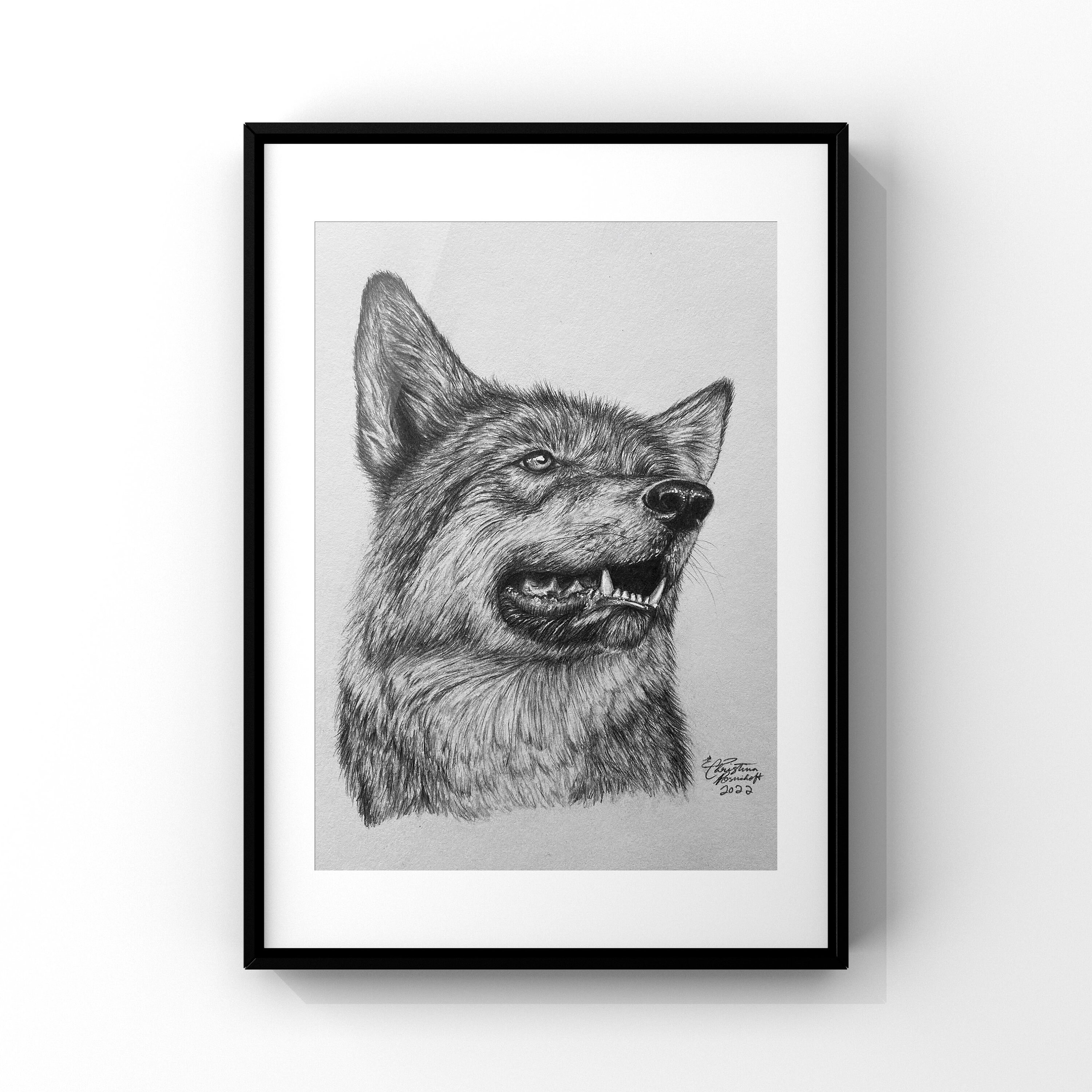 Wolves Graphite Drawing Wolf Face Drawing In Pencil