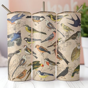 Vintage Vögel Tumbler Wrap, 20 Unzen Skinny Tumbler Sublimation Design, Instant PNG Download