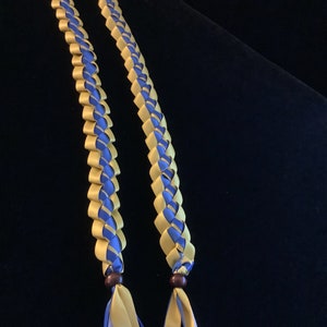 Gorgeous Class of 22 Sash/Stole E