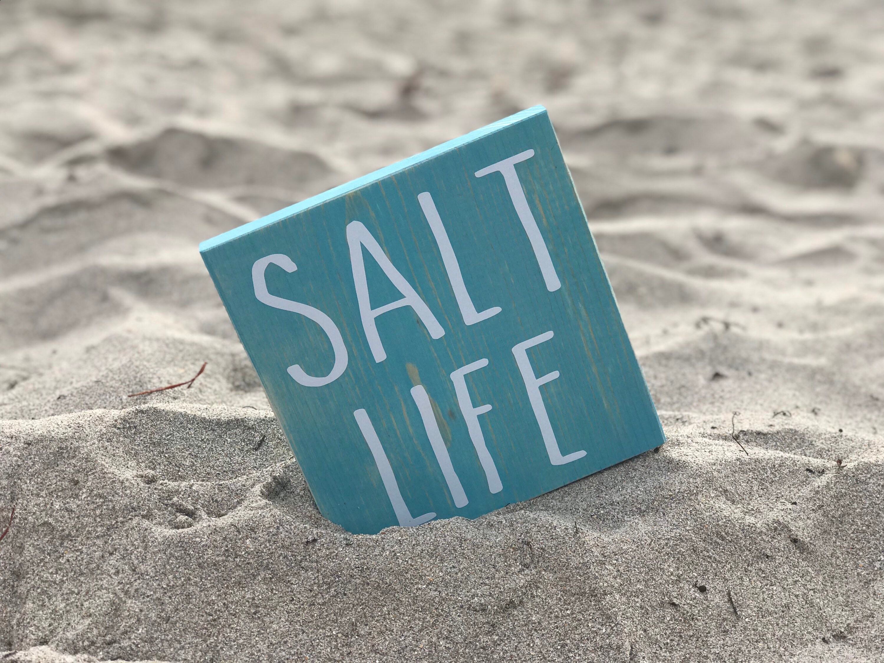 Salt Life Salt Life Sign Salt Life Beach Sign Ocean Sign Etsy.de