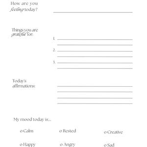 Daily Reflection pages and blank pages for journaling