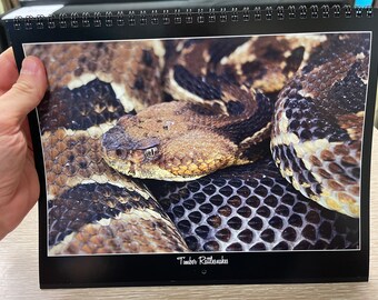 2023 Timber Rattle Snakes Conservation Calendar