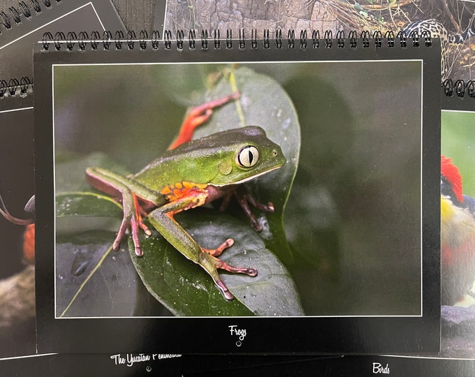 2024 Frogs WILDLIFE Conservation Calendar - ALL NEW!!!