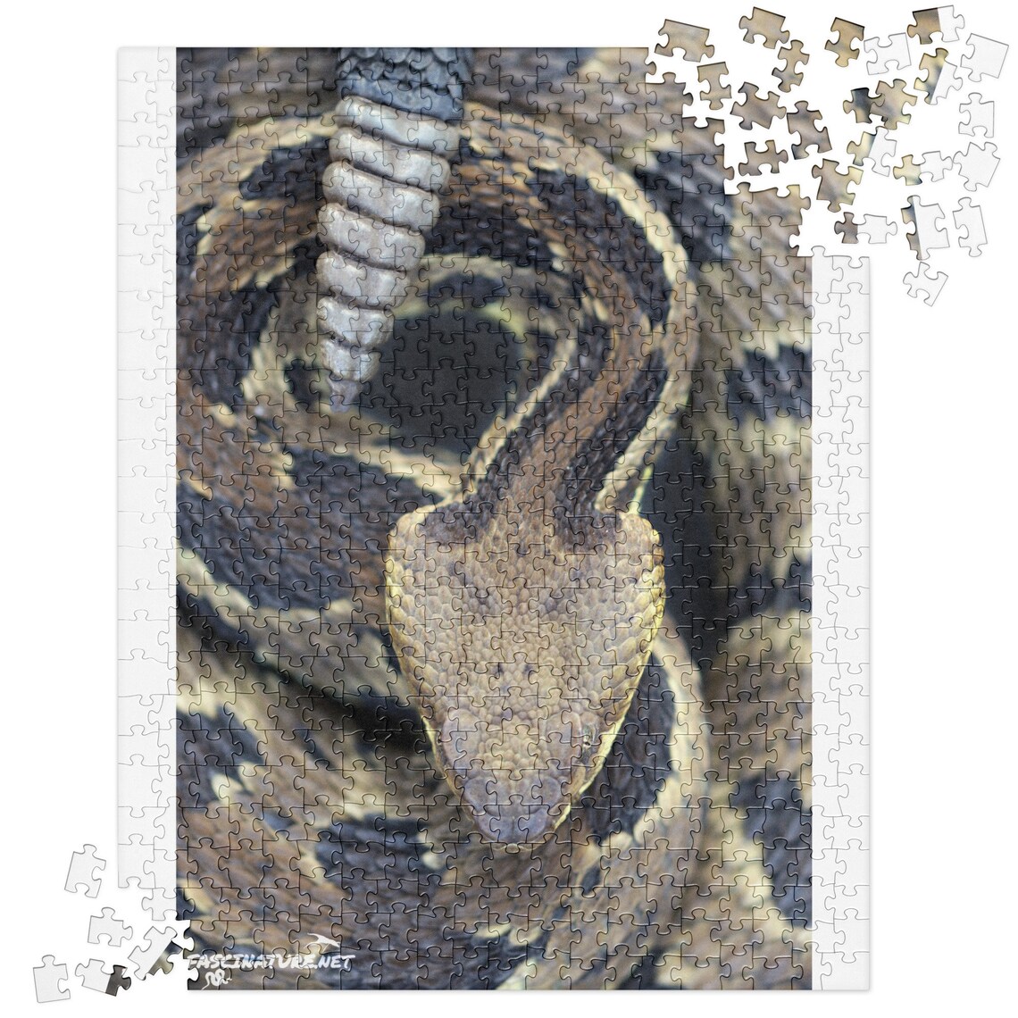 Timber Rattlesnake Jigsaw Puzzle Photo by Bob Ferguson Etsy
