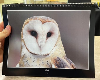 2023 Owls Conservation Calendar