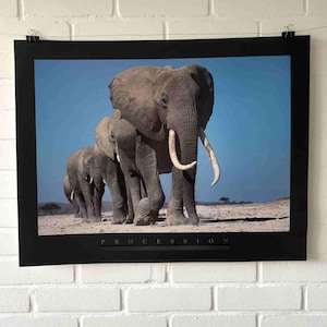 Cartel original, 1991, Martyn Colbeck, Procesión, Elefante, Fauna africana, Vintage, Naturaleza, Documental, Viajes, Animal, Vida, Foto, Arte, Decoración
