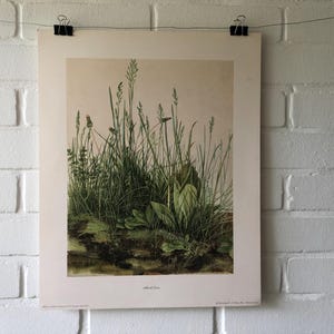 Cartel original, Alberto Durero, El gran trozo de césped, Albertina Viena, Museo, prado, hierba, jardín, primavera, arte, artista, vintage
