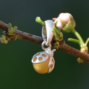 Delicate pendant with natural Baltic Amber and 925 Silver, imperial amber, lucky ladybug, MJ Baltica, BW140