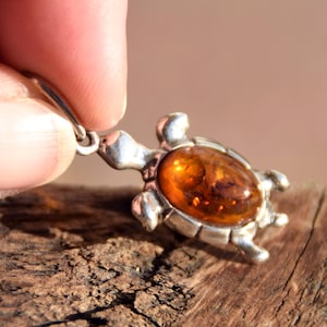 Puede incluir: Un colgante de plata con forma de tortuga y centro color ámbar. El colgante se sujeta con un lazo plateado. La tortuga tiene aletas, cabeza y cola detalladas. El centro ámbar tiene un tono dorado cálido.