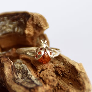 May include: A silver ring with a ladybug design featuring an amber stone. The ring is resting on a piece of weathered wood.