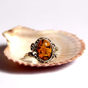 May include: A silver ring with an oval amber stone set in a decorative filigree design. The ring is resting on a seashell.