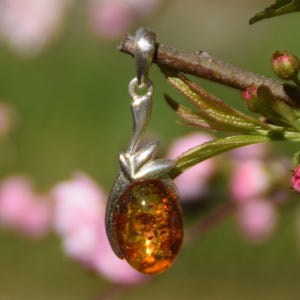 Oval Pendant with Natural Baltic Amber and 925 Silver, Cognac Amber, MJ Baltica, BW171