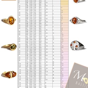 Bague Homme En Argent 925 Avec Ambre Balte - Motif Trapu Insecte Sigillé - Neuve Sans Emballage