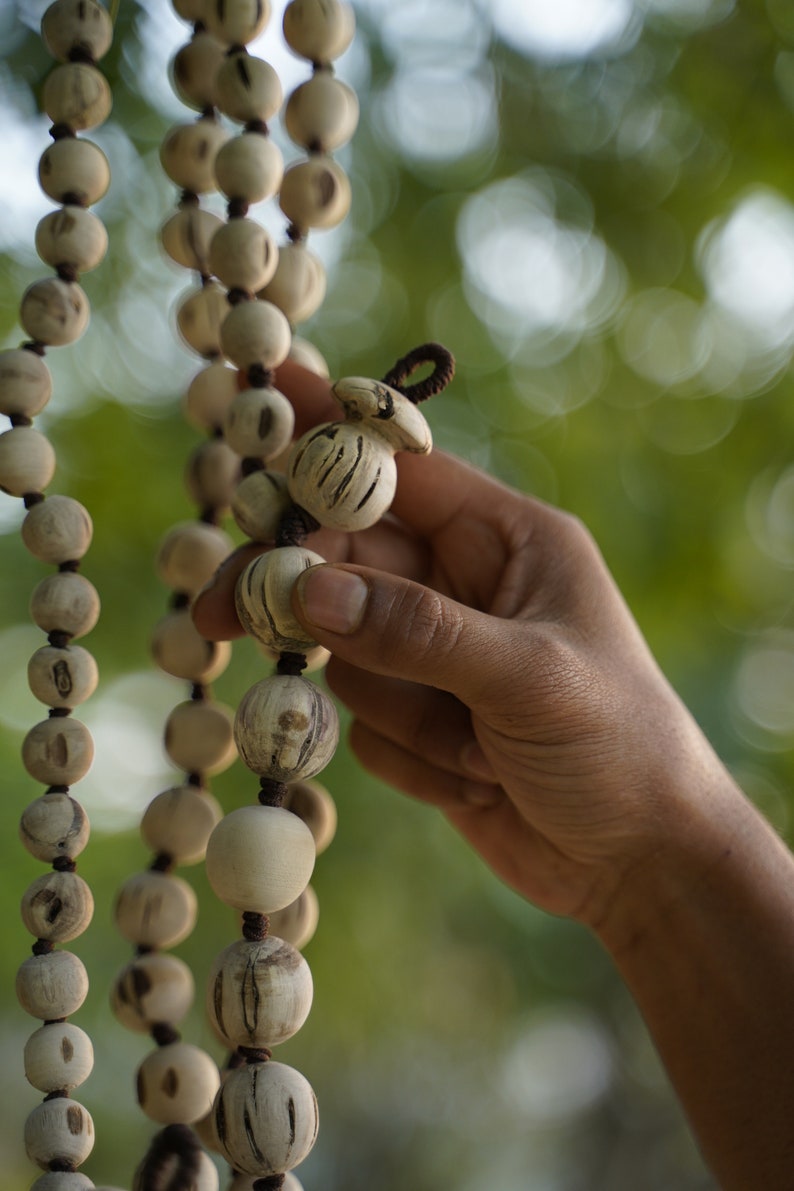 Perfekt rund Tulsi Mala 108 pärlor, precisionspolerat naturligt Japa-halsband för Hare Krishna-sång och meditation | Mayapurstore bild 1