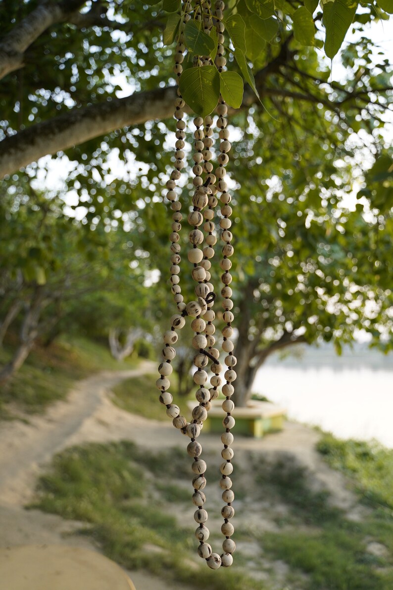 Perfekt rund Tulsi Mala 108 pärlor, precisionspolerat naturligt Japa-halsband för Hare Krishna-sång och meditation | Mayapurstore bild 6