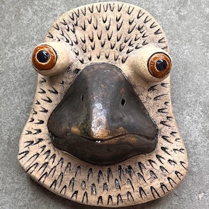 Pu&ograve; includere: Un'appendice da parete in ceramica a forma di testa di uccello. L'uccello ha grandi occhi rotondi con dettagli arancioni e neri. Il becco &egrave; nero e la testa &egrave; bianca con un motivo testurizzato.