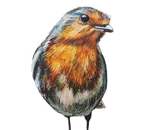 Cheeky Robin Print, Giclée Fine Art, Garden Bird, Bird-Watching, Robin Red Breast, Irish Art, Made in Ireland, Compostable Packaging, Vegan