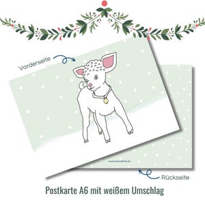 Weihnachtskarten | Weihnachtskarte Lamm | Grußkarten | Karten | Postkarte Weihnachten | Winter Karte | Babykarte | Geburtskarte Baby