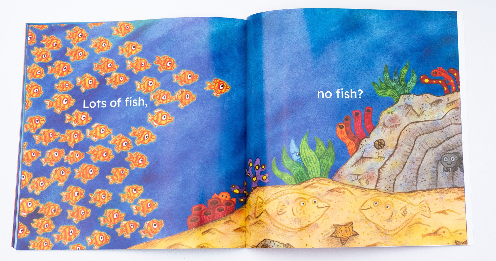 Big Fish Little Fish Picture Book by Matt Buckingham -  Canada