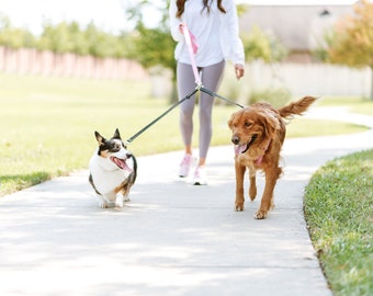 dual dog leash no tangle