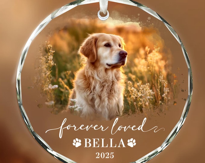 Personalized Pet Memorial Ornament 2025: Custom Photo Dog Cat Sympathy ...
