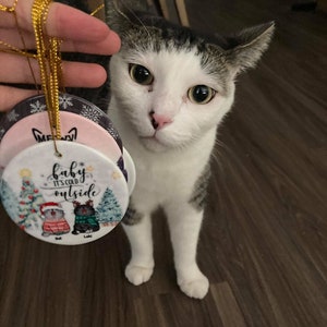 Custom Cat Ornament, Cat Christmas Ornament, Meowy & Bright, Cat Lover ...