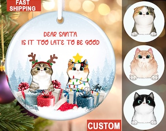 Personalized Cat Christmas Ornament, Cat Lover Gift, Naughty Cat Ornament, Gift For Cat Mom, Christmas Tree Ornament, Pet Ornament, Keepsake