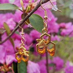 Honey Drip HoneyComb Bee Earrings (3 comb)