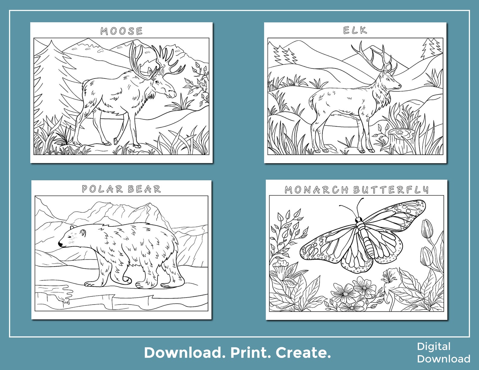 Printable Coloring Book Animals of North America 16 Pages - Etsy Nederland