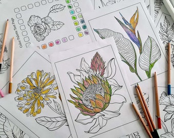 Botanical Beauty: 50 Intricate Flower Coloring Pages for Adults - Instant Download