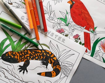 Printable Coloring Book - Animals of North America, 16 Pages - Educational illustrations, Learning by coloring, Kids Activities, Digital PDF