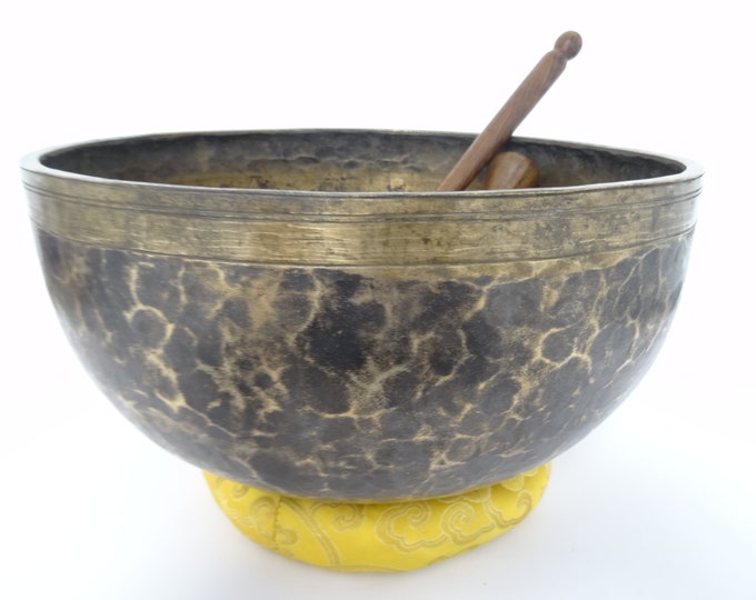 Antique Tibetan Singing Bowl | Massive Jambati 12.75" | Hand Hammered | Himalayan Meditation | Sound Therapy | Healing Yoga | Note F#2