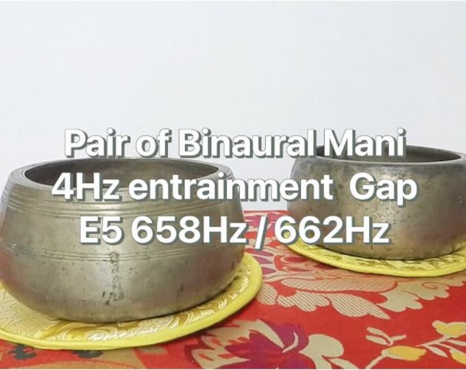 Pair of Binaural Antique Mani Singing Bowls Meditation Sound Therapy Healing E5