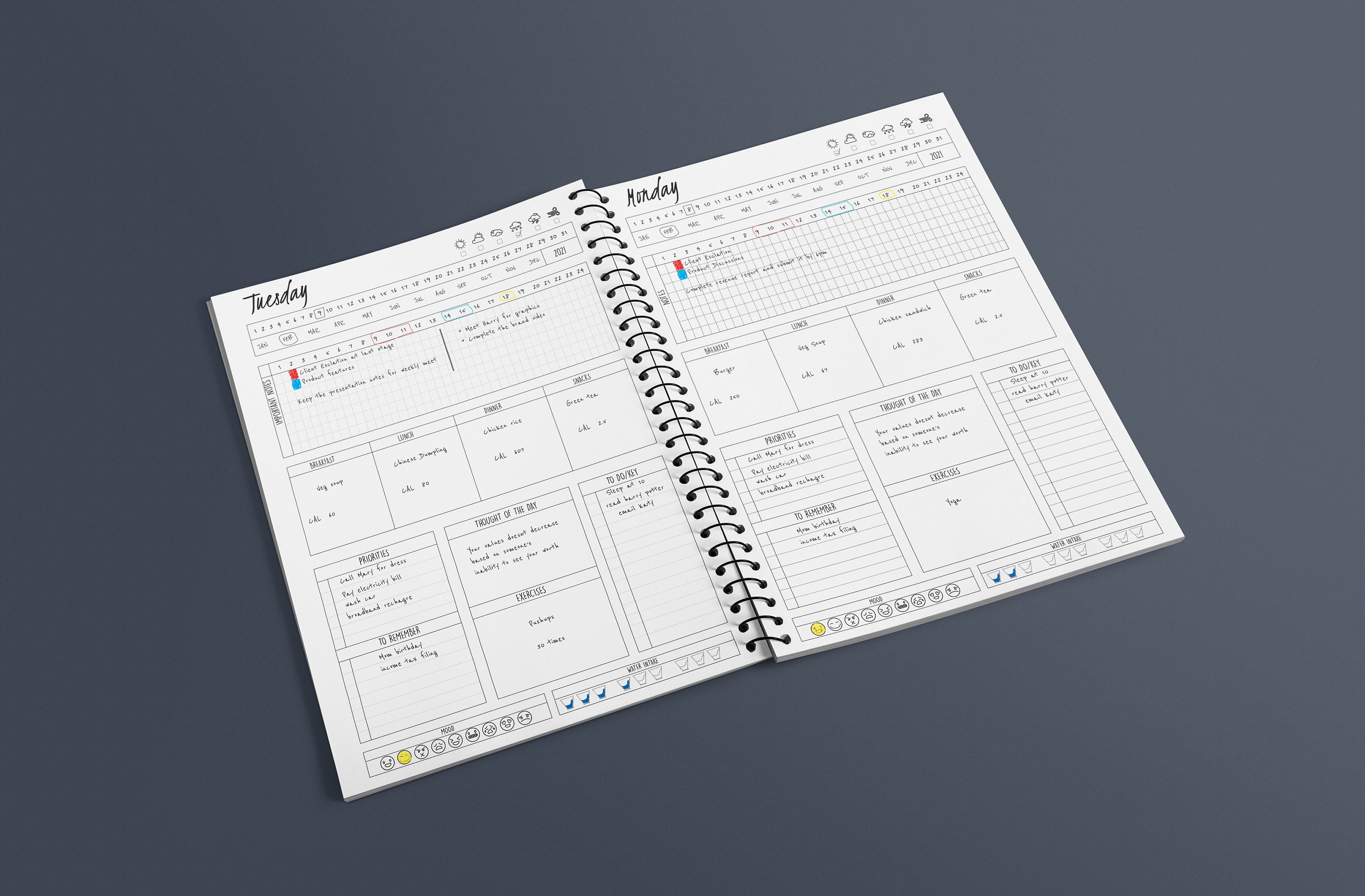 Daily Planner US Letter Size Day Planner Work Planner Weekly Etsy