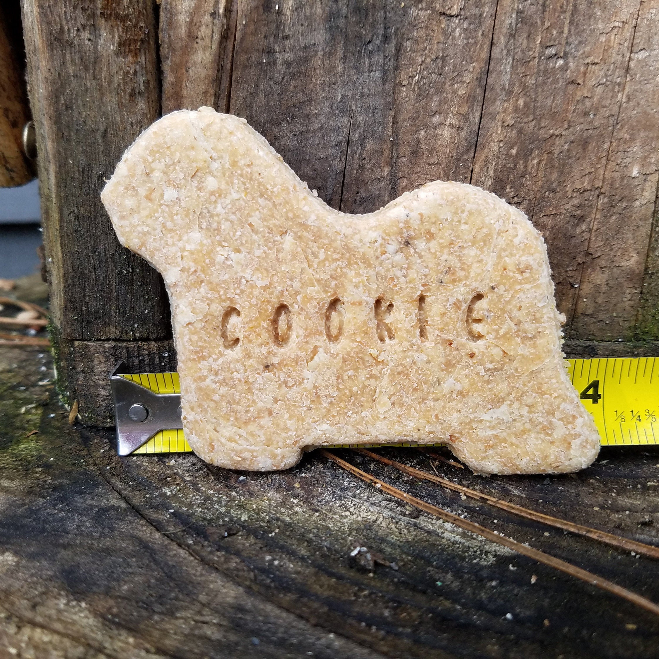 Maltese Personalized Dog Treats FREE SHIPPING Etsy